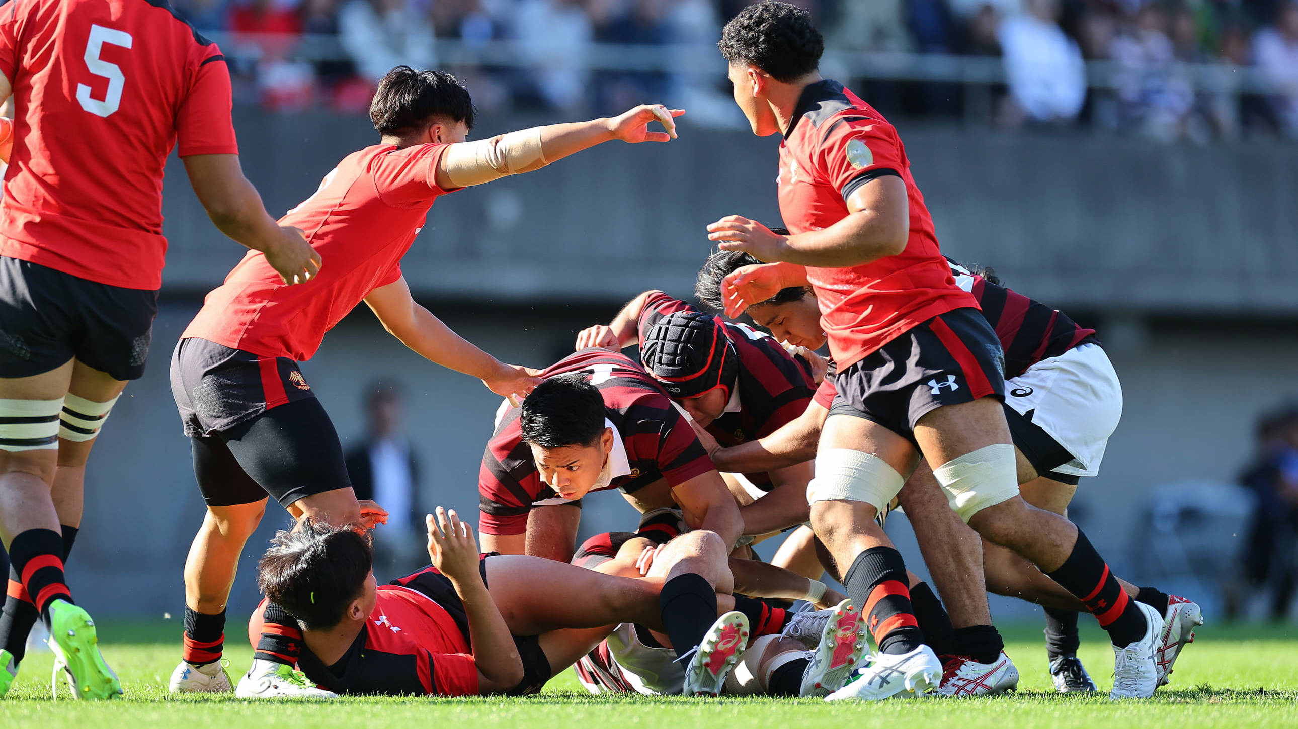 Just RUGBY | ジャストラグビー